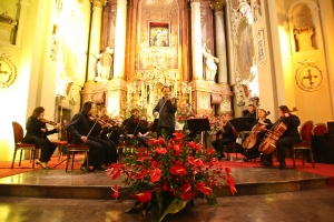 Koncert na rzecz rekonstrukcji organów w Bazylice Świętogórskiej - FRAUENKIRCHENTAG_39